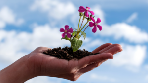 The purpose of the image is to represent the idea of cultivating growth—whether it’s a plant or your own personal development. It illustrates why mindset shifts are important. Just like tending to a plant helps it grow and thrive, shifting your mindset allows you to nurture your own growth, unlocking potential and leading to new possibilities in life.